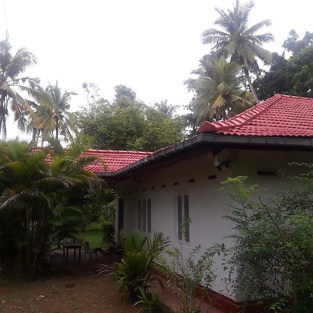 International Meditation Center Hotel Mirissa Exterior photo