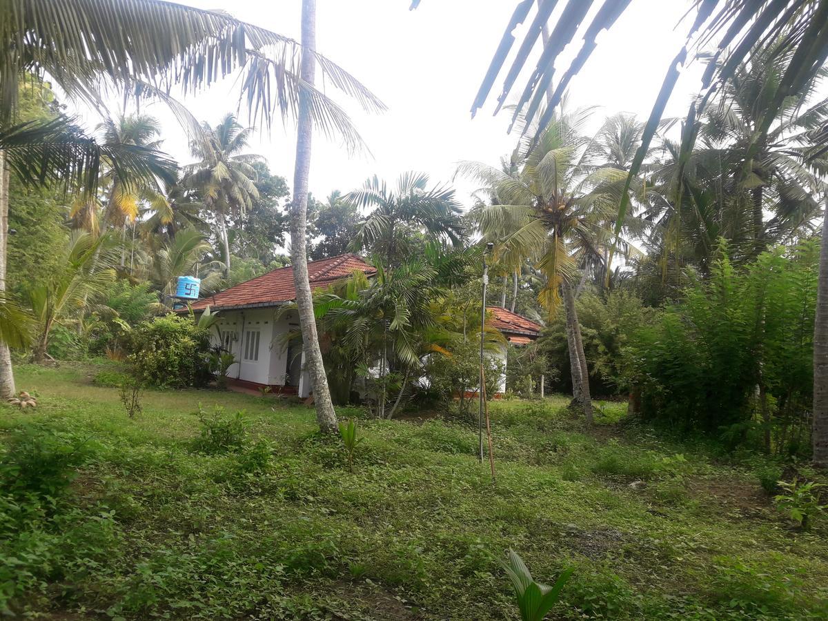 International Meditation Center Hotel Mirissa Exterior photo