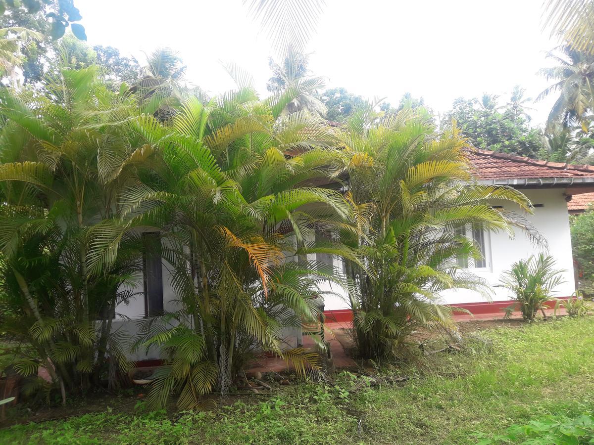 International Meditation Center Hotel Mirissa Exterior photo