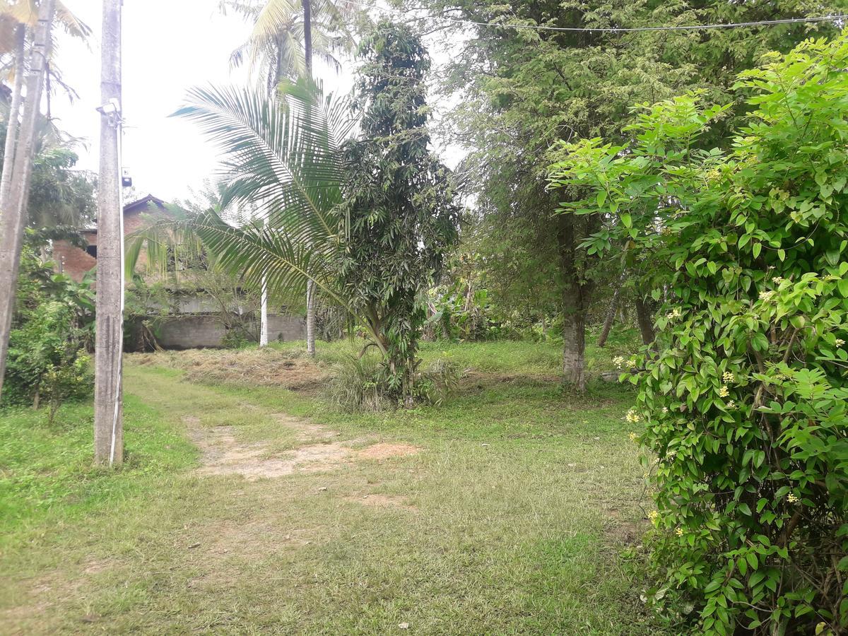 International Meditation Center Hotel Mirissa Exterior photo