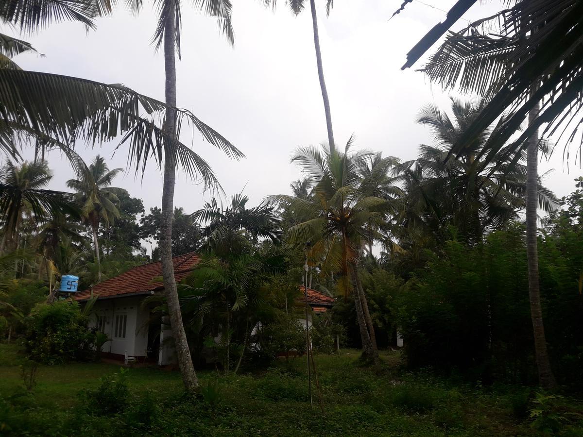 International Meditation Center Hotel Mirissa Exterior photo