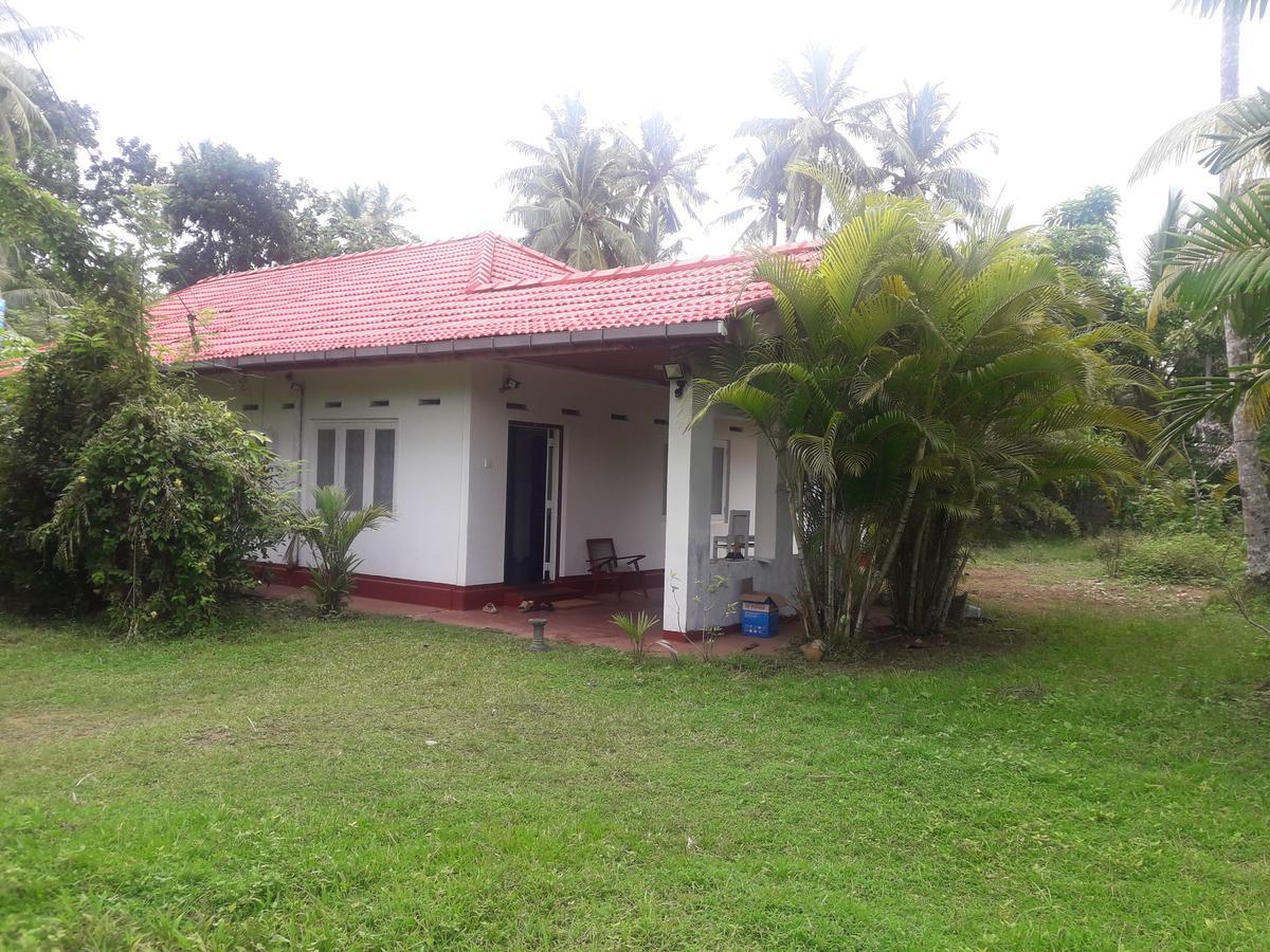 International Meditation Center Hotel Mirissa Exterior photo
