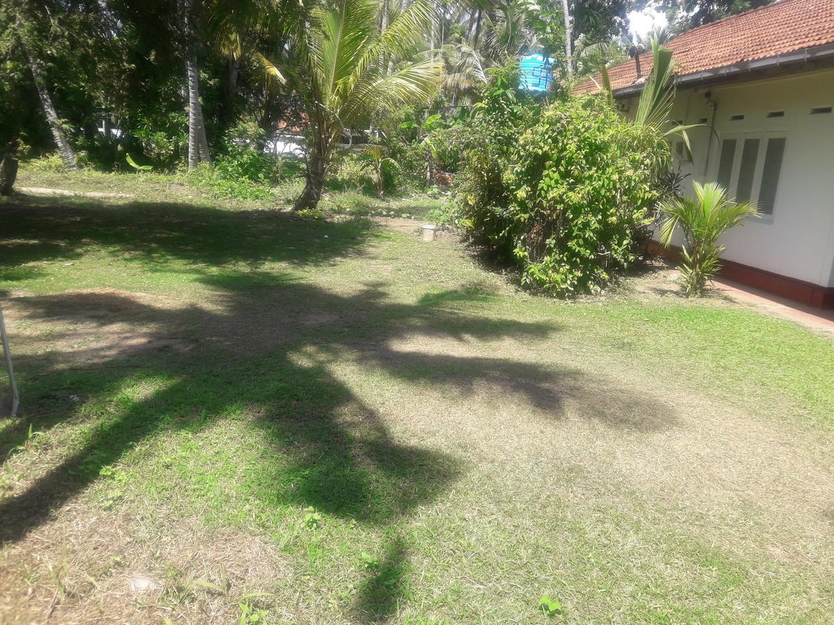 International Meditation Center Hotel Mirissa Exterior photo