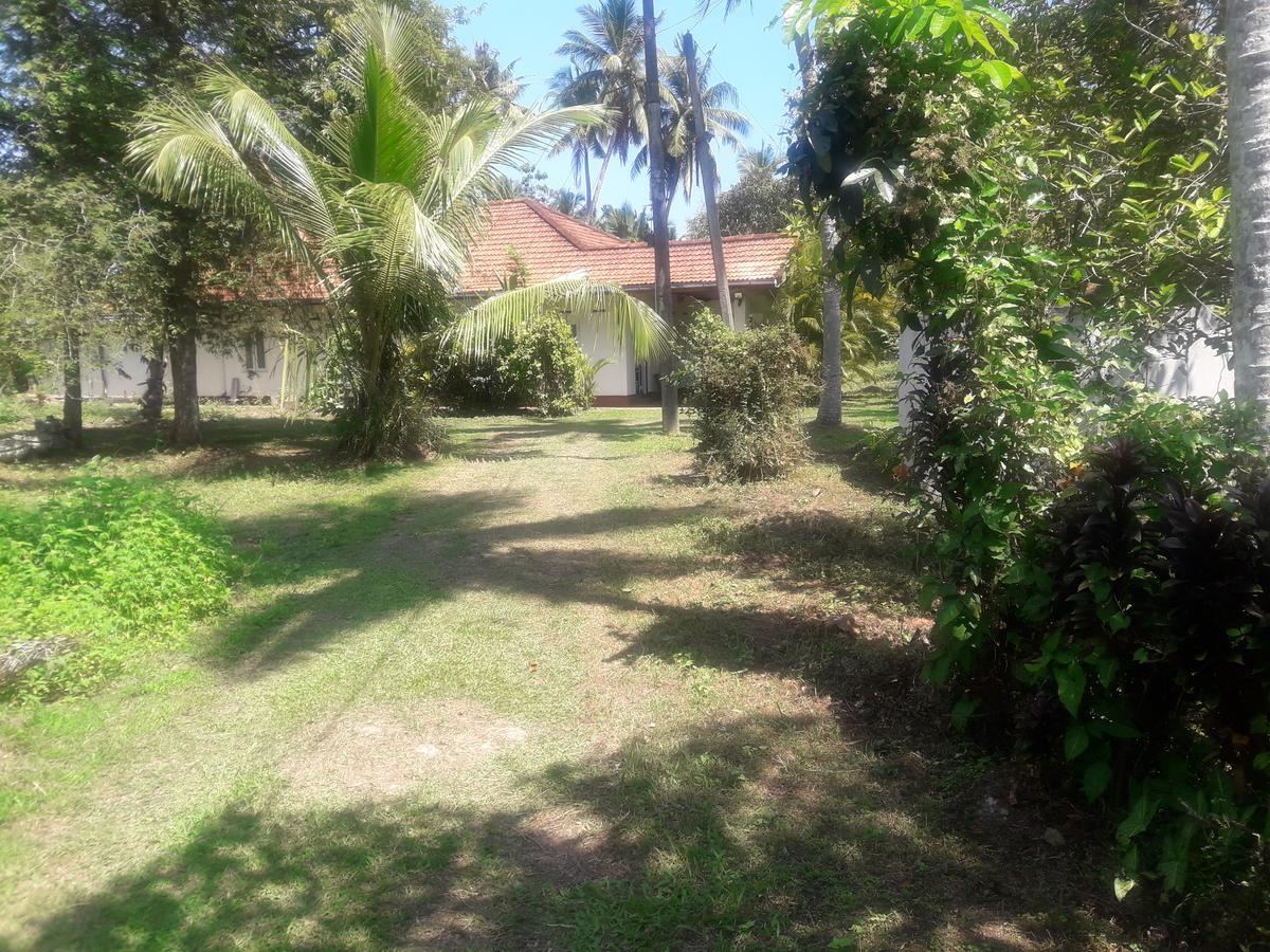 International Meditation Center Hotel Mirissa Exterior photo